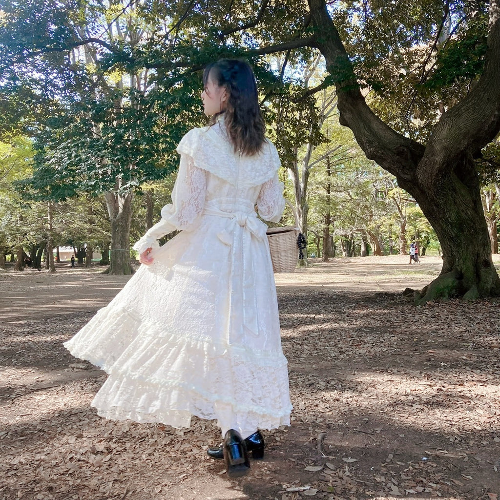 Reverie Lace Dress