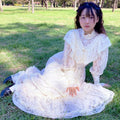 Reverie Lace Dress