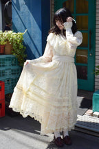 Reverie Lace Dress
