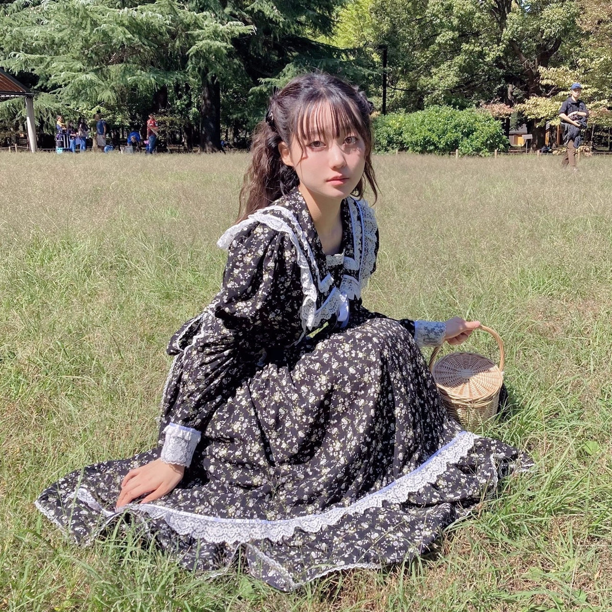 Nocturne Garden Dress