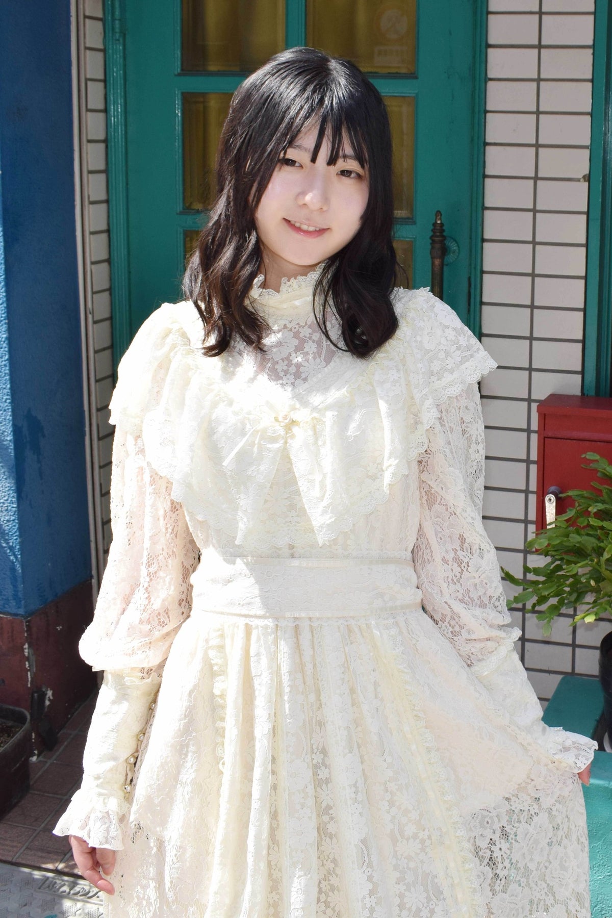 Reverie Lace Dress