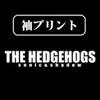【COSPA】SONIC＆SHADOW Tシャツ [ソニック・ザ・ヘッジホッグ] 0381-1442